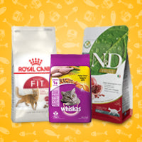 Cat Dry Food