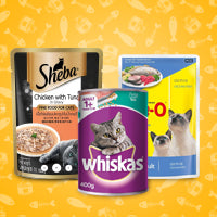 Cat Wet Food