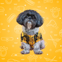 Dog Clothing