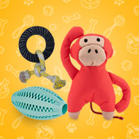 Dog Toys