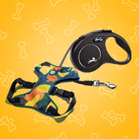 Dog Walk Accessories