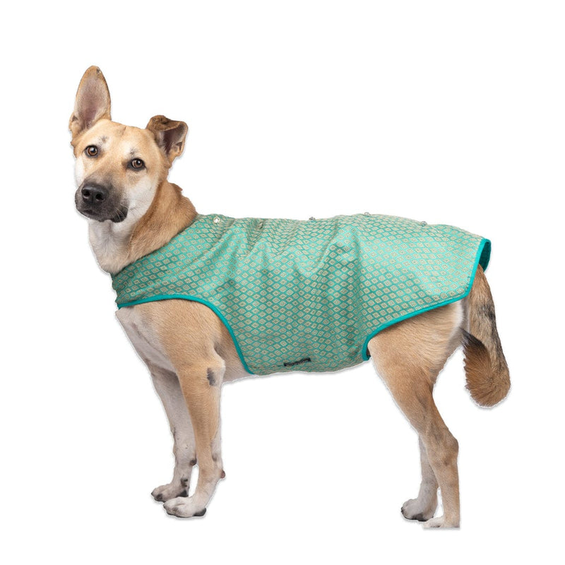 Aqua Green Brocade Sherwani