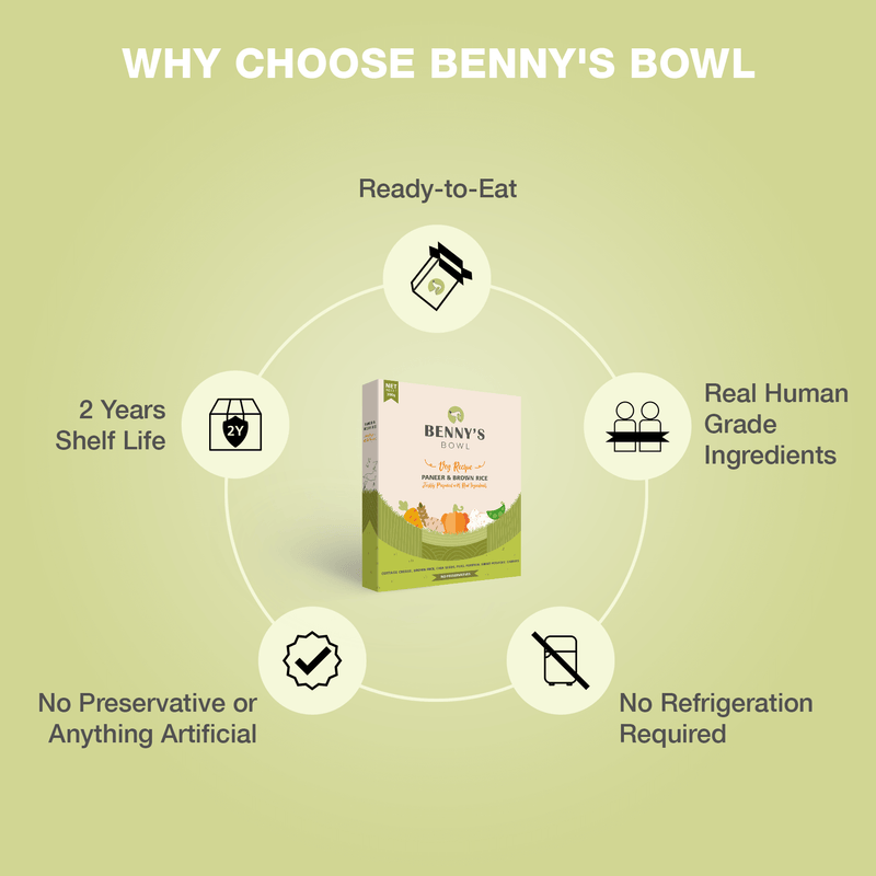 Bennys Bowl Paneer and Brown Rice 300gm