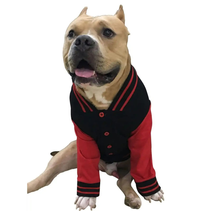 Doxters Fetching Club Sport Jacket for Dogs