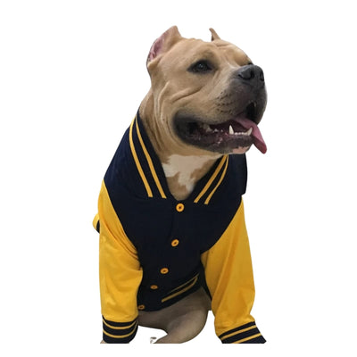 Doxters Fetching Club Sport Jacket for Dogs
