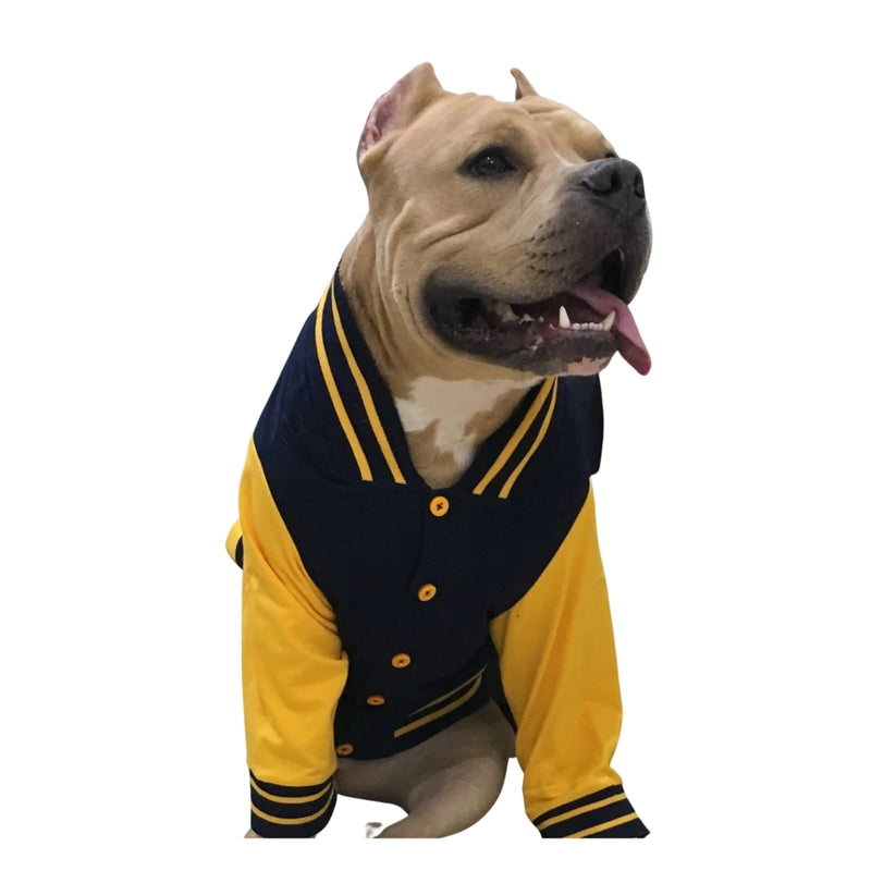 Doxters Fetching Club Sport Jacket for Dogs