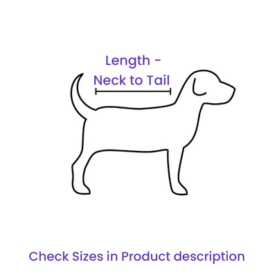 Doxters Fetching Club Sport Jacket for Dogs