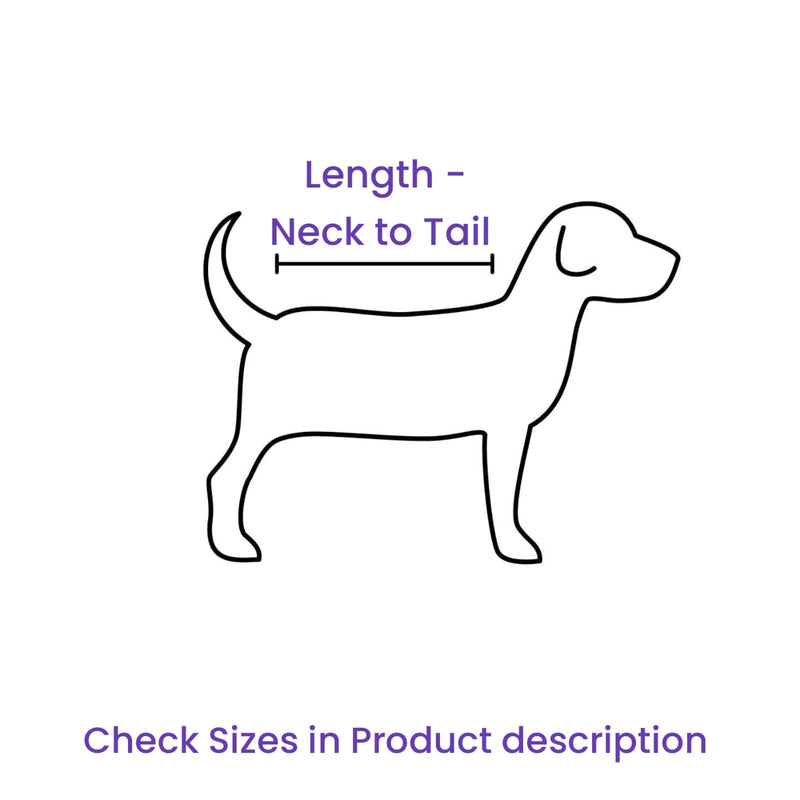 Doxters Fetching Club Sport Jacket for Dogs