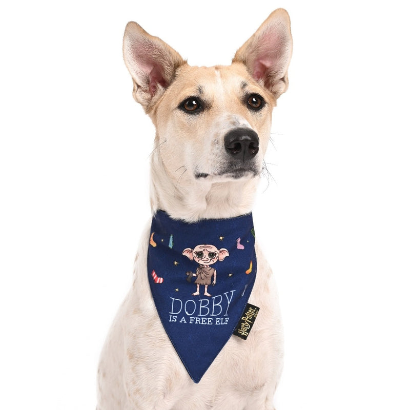 Harry Potter - Doggy Dobby Bandana