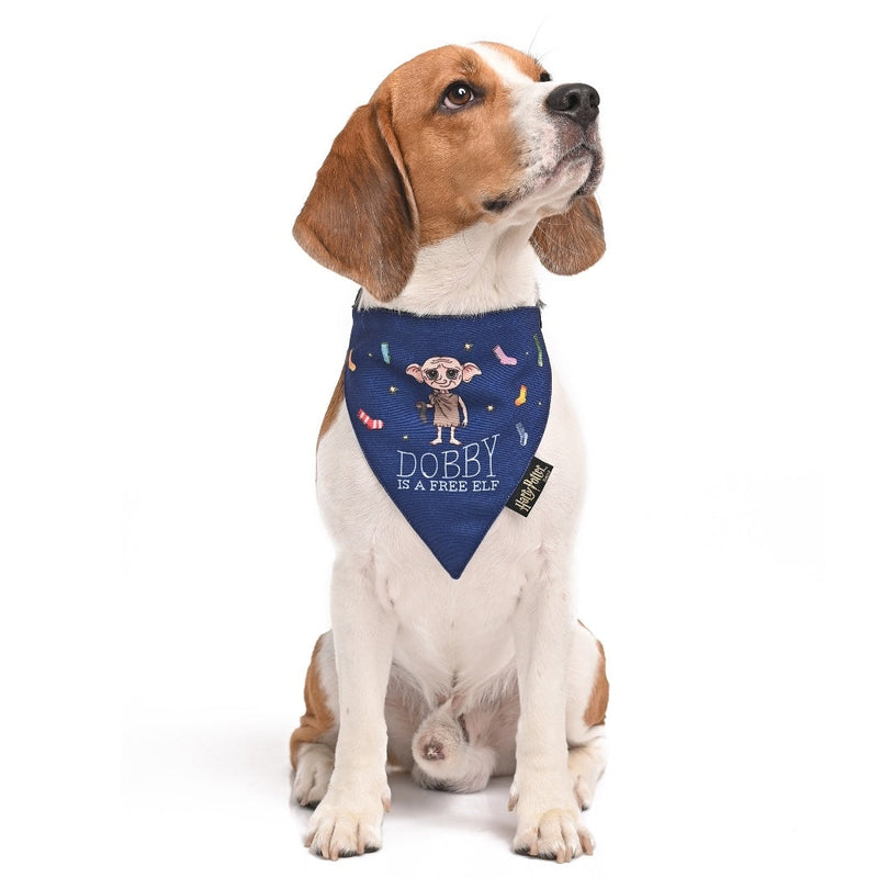Harry Potter - Doggy Dobby Bandana