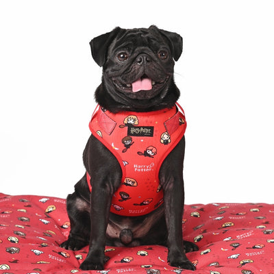 Harry Potter - Friends of Harry Potter Dog Mat