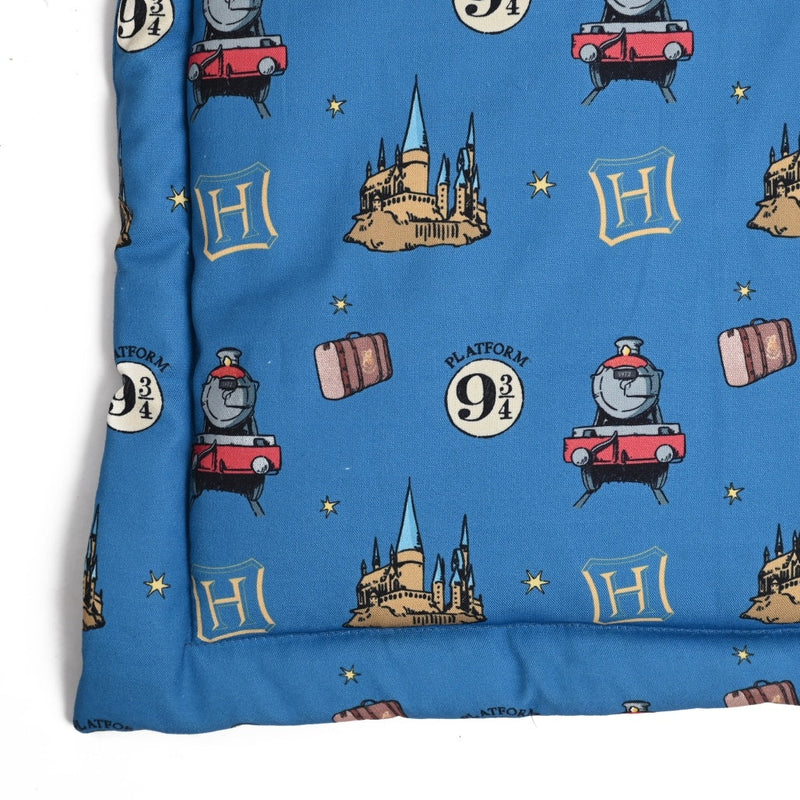 Harry Potter - Welcome to Hogwarts Dog Mat