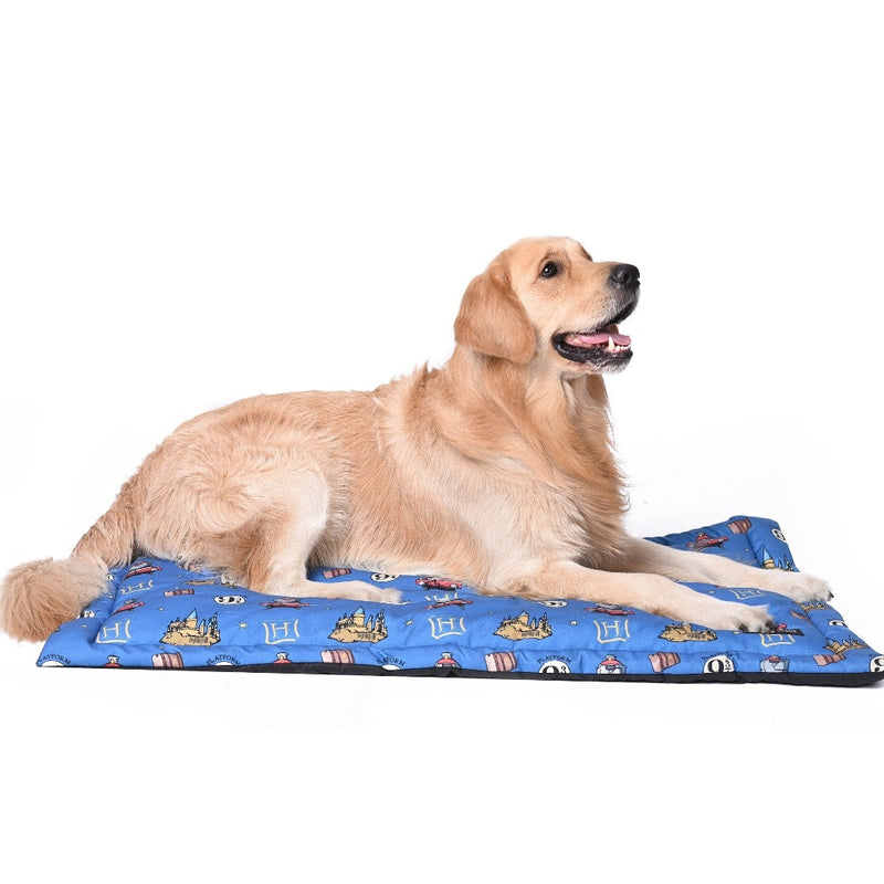 Harry Potter - Welcome to Hogwarts Dog Mat