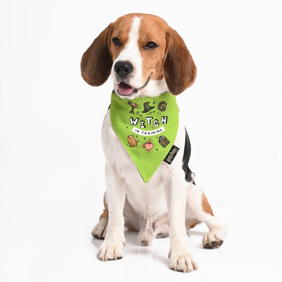 Harry Potter - Woofy Witch Bandana