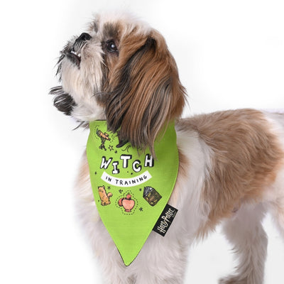 Harry Potter - Woofy Witch Bandana