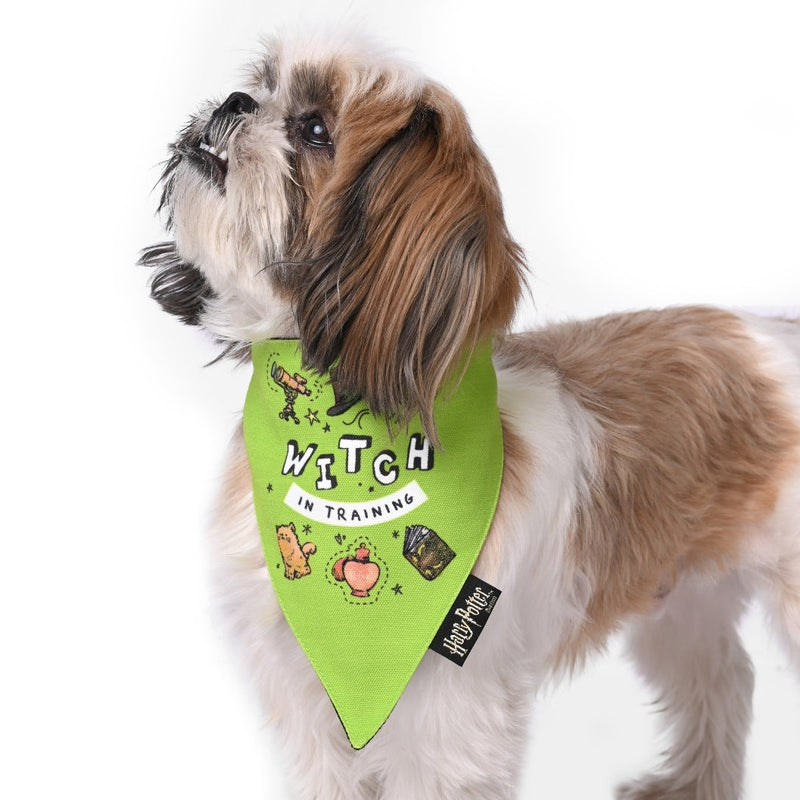 Harry Potter - Woofy Witch Bandana