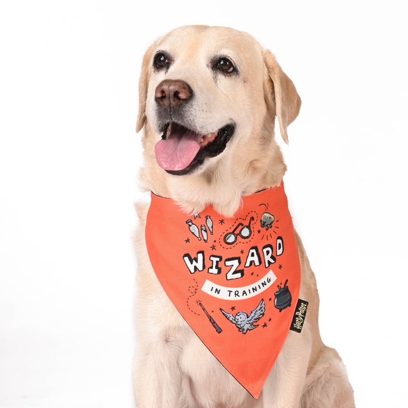 Harry Potter - Woofy Wizard Bandana
