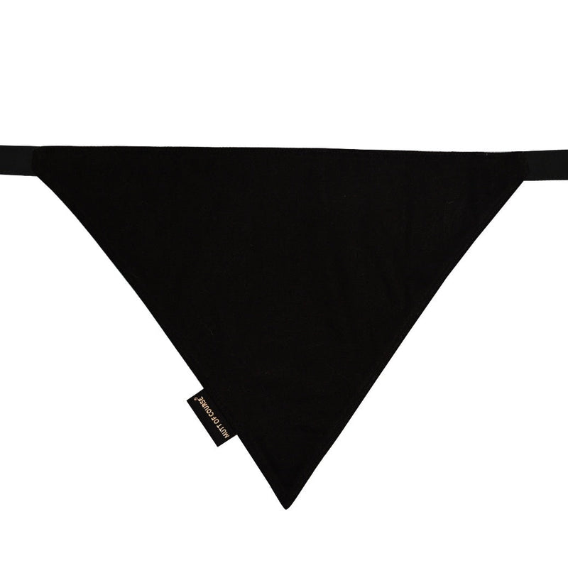 Harry Potter - Woofy Wizard Bandana