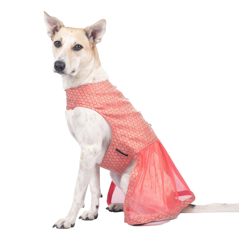 Light Pink Brocade and Net Lehenga