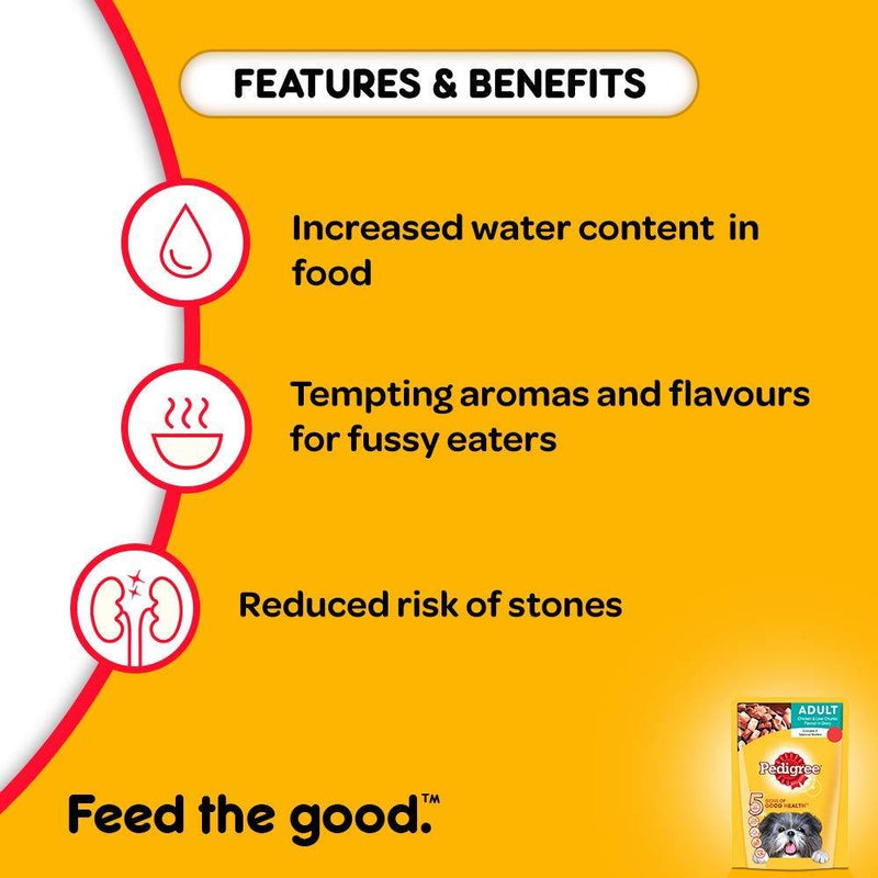 Pedigree Adult Chicken &amp; Liver Chunks in Gravy 70 gms