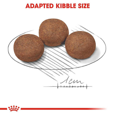 Royal Canin Medium Puppy Dry dog food