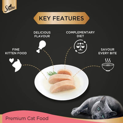 Sheba Kitten Chicken Premium Loaf 70gm