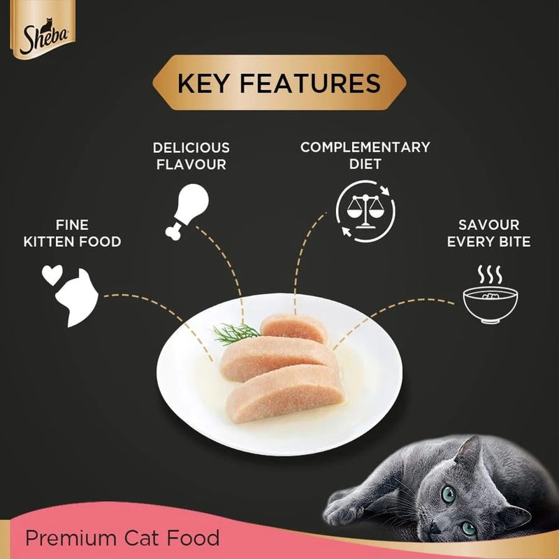 Sheba Kitten Chicken Premium Loaf 70gm