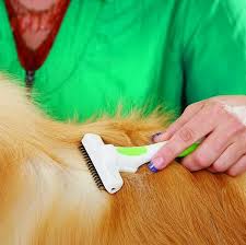 Andis Deshedding Tool White / Lime Green