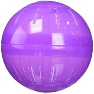 Hamster Ball - Purple, Sizes Available