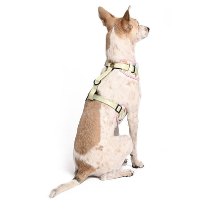 Harry Potter - Every Flavour Bean Harness