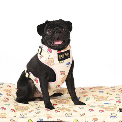 Harry Potter - Every Flavour Bean Harness