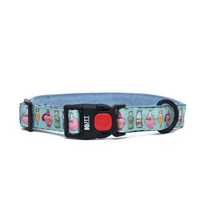 Harry Potter - Potions in Motion - Dog Collar