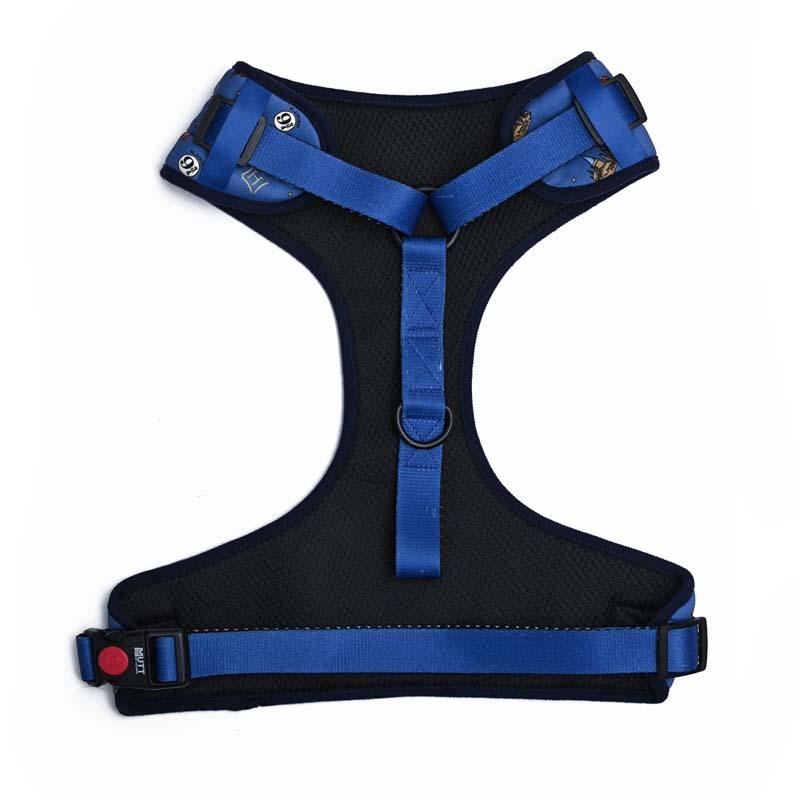 Harry Potter - Welcome To Hogwarts Dog Harness