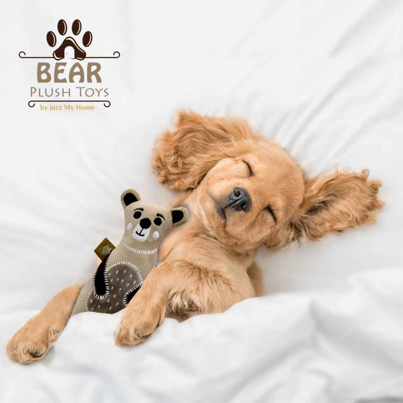 Jazz My Home Bear Dog Toy