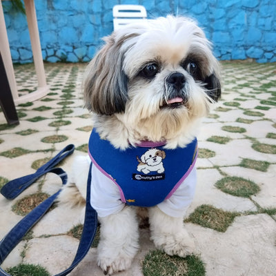 Nutty's Den Unicorn Love Dog Harness - 100% cotton dog harness