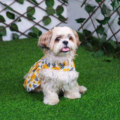Pawshic Yellow Floral Dress