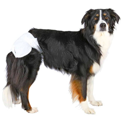 Trixie Diapers for Female Dogs