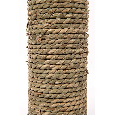 SmartyKat Carpet Scratch Post With Feather Toy (27cm x 27cm x 47cm)