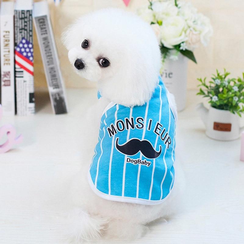 DH Monsieur Tshirts Assorted Colour - For Small Dogs & Puppies