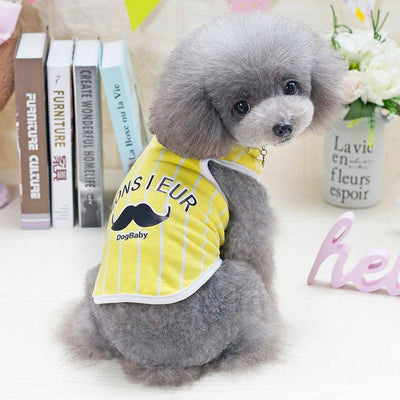 DH Monsieur Tshirts Assorted Colour - For Small Dogs & Puppies