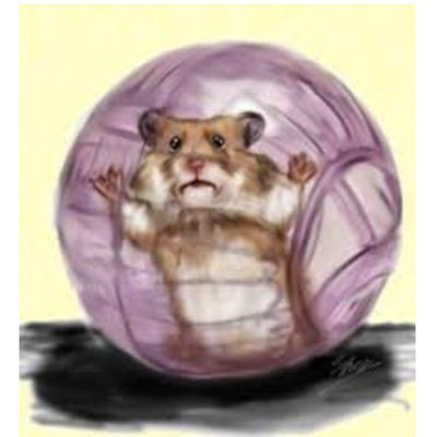 Hamster Ball - Purple, Sizes Available