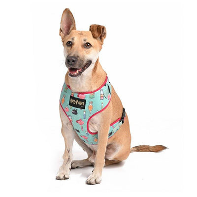 Harry Potter - Potions in Motion Harness