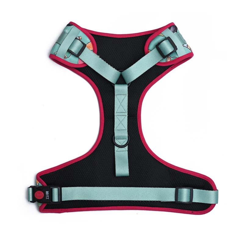 Harry Potter - Potions in Motion Harness