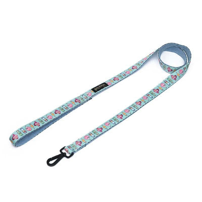 Harry Potter - Potions in Motion Dog Leash