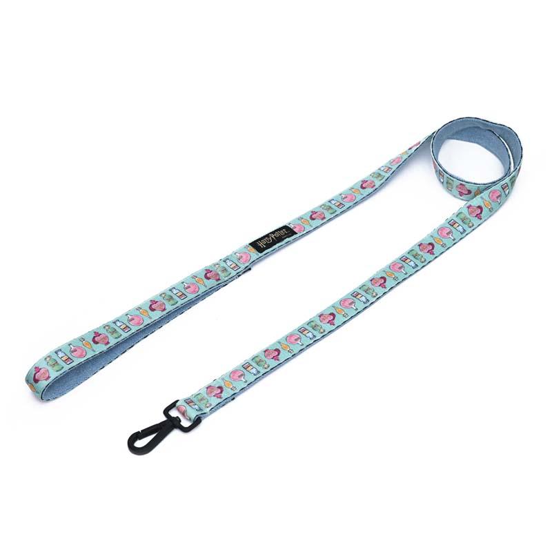 Harry Potter - Potions in Motion Dog Leash