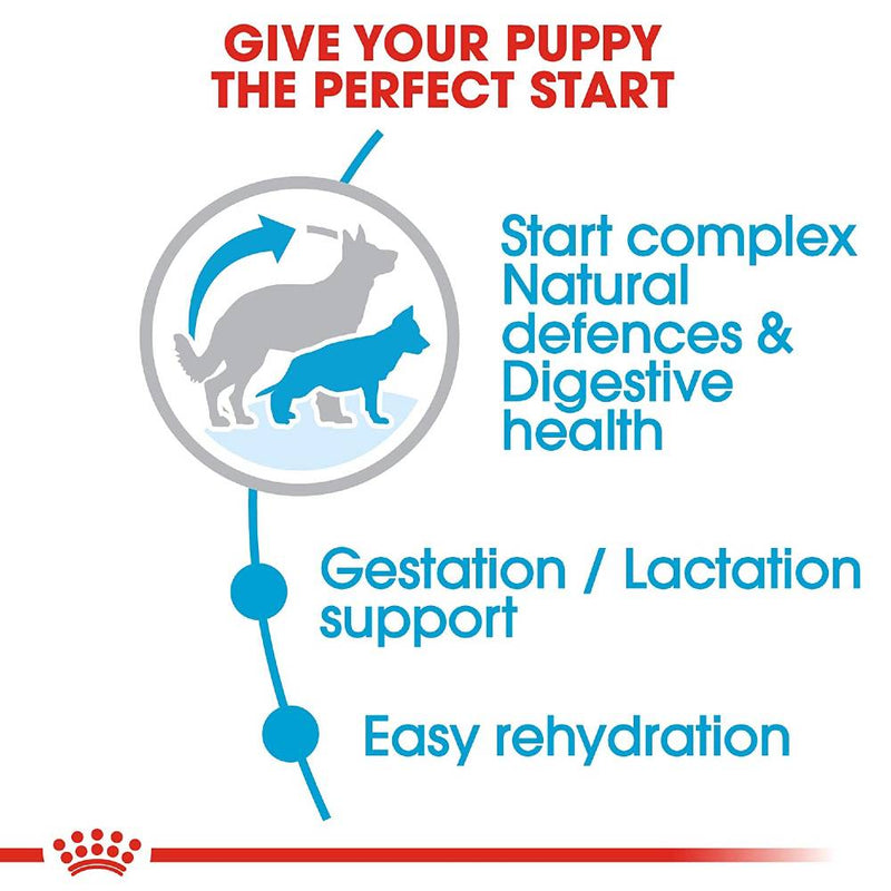 Royal Canin Maxi Starter, Dry food for dogs