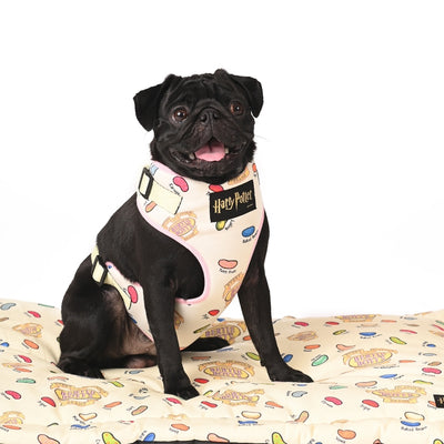 Harry Potter - Every Flavour Bean Harness