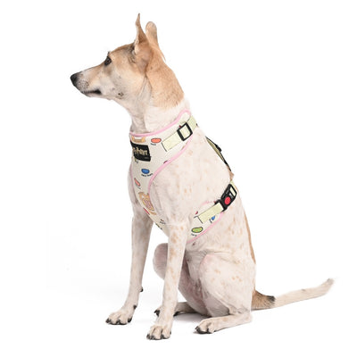 Harry Potter - Every Flavour Bean Harness