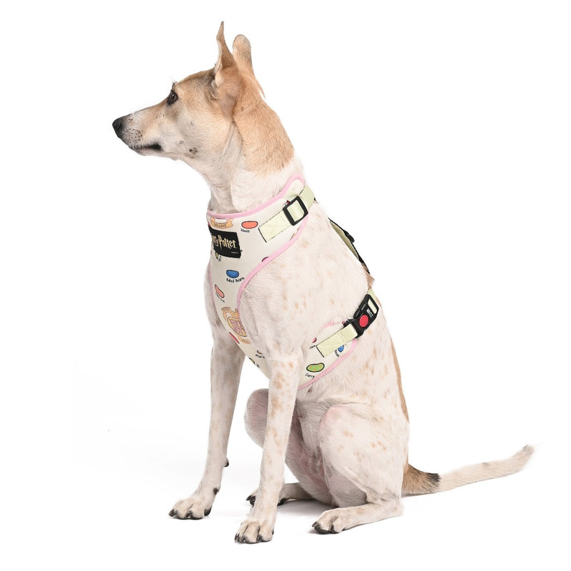 Harry Potter - Every Flavour Bean Harness