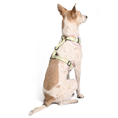 Harry Potter - Every Flavour Bean Harness